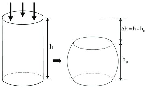 compression test diagram|compression test specimen.